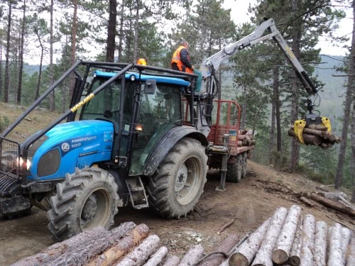 ECOFOREST s.c.a.r.l. specialisti al servizio dell'ambiente : (Pieve Santo  Stefano)